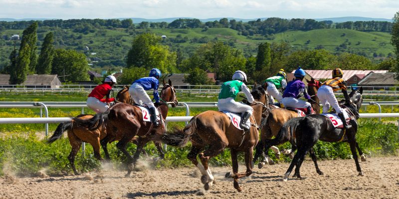 ブックメーカー競馬